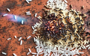 Gạo "lạ" khó thể làm bằng nhựa
