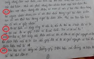 Cô giáo ra hơn 100 bài tập Tết cho học sinh lớp 3