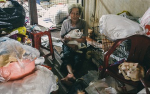 Cụ bà cưu mang 50 "đứa con" chó mèo trong căn nhà ẩm thấp ở Sài Gòn giờ ra sao?