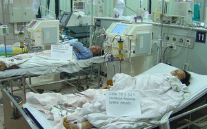 Cả gia đình thuê trực thăng nhập viện Bạch Mai cấp cứu vì ngộ độc nấm rừng