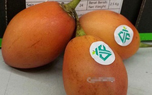 Cà chua lạ 1 triệu đồng/kg: Hàng hiếm xôn xao Hà Thành