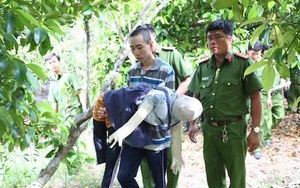 Khởi tố thanh niên 18 tuổi hiếp dâm, sát hại bé gái gần nhà