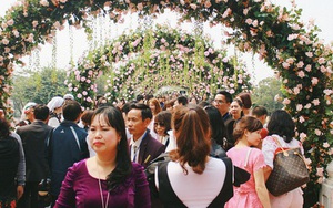 Sở Văn hóa Hà Nội yêu cầu tháo hoa giả, thay thế bằng hoa thật trong lễ hội hoa hồng Bulgaria
