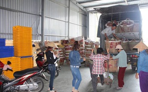 Bắt nghi phạm ngáo đá, mang "lựu đạn" đi cướp