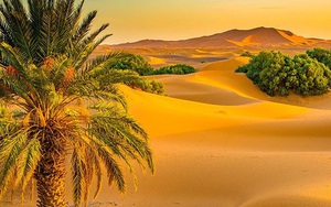 Phải chăng chính con người đã biến Sahara thành sa mạc?