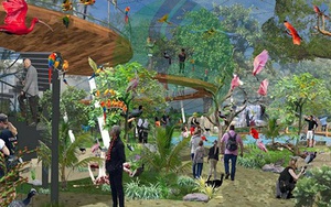 Faros Zoo được cấp 129ha đất để làm vườn thú hoang dã safari tại Quy Nhơn