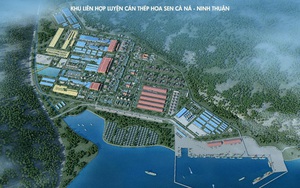 Thủ tướng kết luận: Tạm dừng dự án thép Cà Ná của Tập đoàn Hoa Sen