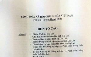 Phó giám đốc sở cho rằng vợ dựng chuyện ngoại tình bôi xấu chồng