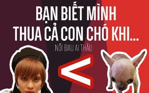 Bạn biết mình thua cả một em cún trong nhà khi...