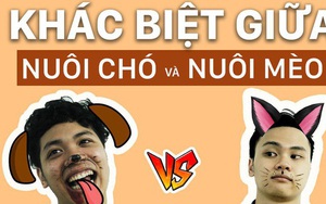 Sự khác biệt hoàn toàn giữa #team nuôi chó và #team nuôi mèo!