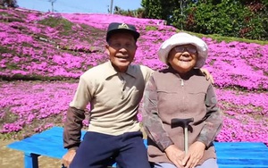 Cụ ông ròng rã 2 năm trời trồng cánh đồng hoa để dành tặng người vợ mù