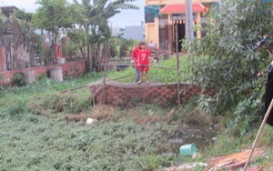 Chồng hờ truy sát vợ, quăng xuống ruộng rau