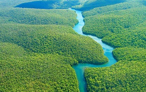 Phát hiện kỳ thú này đã đưa sông Amazon soán ngôi sông Nile với hạng mục sông dài nhất thế giới