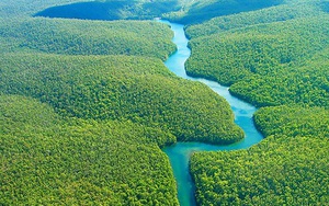 Phát hiện kỳ thú này đã đưa sông Amazon soán ngôi sông Nile với hạng mục sông dài nhất thế giới