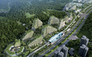 Choáng ngợp trước thành phố rừng xanh đầu tiên của thế giới với 1 triệu cây
