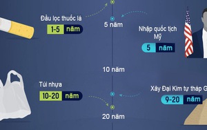 Rác thải hàng ngày của bạn mất bao lâu để phân hủy?