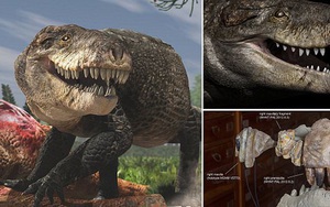 Loài cá sấu dài 7m, đứng bằng 2 chân đến khủng long bạo chúa cũng phải sợ đã từng thống trị đất liền
