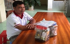 Vận chuyển trái phép gần nửa tỷ đồng qua biên giới