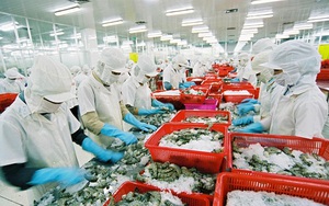 Bộ Tài chính đề xuất giảm một loạt phí