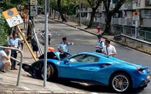 Né chó, xế sang Ferrari "vỡ đầu" vì tông biển báo