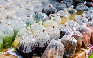Túi nilong – Dùng sao để không bị nhiễm độc?