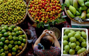 Vì sao nhiều nông sản Việt kém cạnh tranh với hàng Thái, Trung Quốc?
