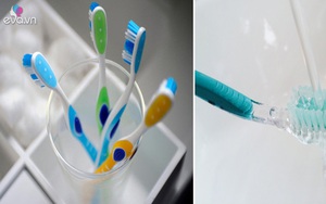 Rước cả ổ vi khuẩn vào người vì thói quen dùng bàn chải đánh răng sai lầm