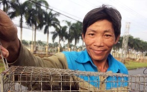 Bẫy chuột đồng mùa nước nổi, thu 150.000 - 200.000 đồng/ngày