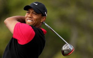 Đẳng cấp như Tiger Woods: Vẫn kiếm bộn tiền dù tối ngày "miệt mài" bên các bóng hồng