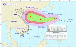 Đà Nẵng ra Công điện khẩn ứng phó bão số 11