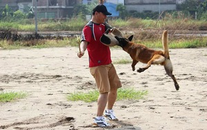Hốt bạc nghề dạy thú cưng