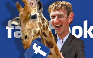 10 sự thật vui nhộn bất ngờ về Mark Zuckerberg không phải ai cũng biết