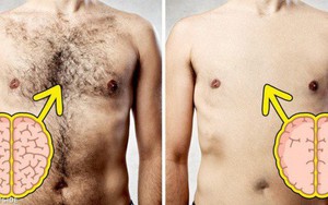 Sự thật bất ngờ: nam giới lông càng nhiều thì càng thông minh