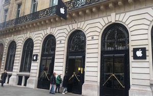 Pháp: Dân tình xếp hàng đông nghịt đi xem triển lãm bảo tàng, thờ ơ với iPhone X vì một lý do đơn giản