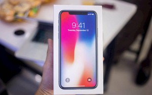 Vì sao iPhone X về Việt Nam giá cao gấp đôi?