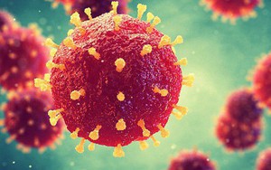 Bùng phát virus giết người "giống Ebola" tại châu Phi, hiện chưa có thuốc chữa