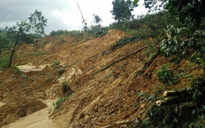 Quảng Nam: Tìm thấy năm thi thể bị đất vùi lấp