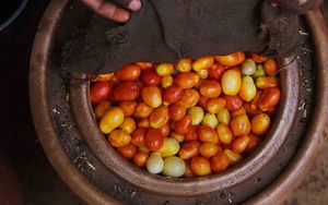 Chiếc “tủ lạnh” đặc biệt của giáo viên người Nigeria: Không cần cắm điện vẫn giữ thức ăn tươi ngon đến 27 ngày