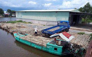 Trưởng phòng thanh tra phòng chống tham nhũng bị bắt