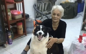 Clip: Cuộc chiến giành bà không khoan nhượng giữa boss và sen, đứa nào béo hơn đứa ấy thắng