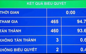 Quốc hội bấm nút, chính thức cho TP.HCM cơ chế đặc thù