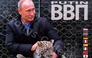 Công ty Nga tung bộ lịch ông Putin siêu ... "ngầu"