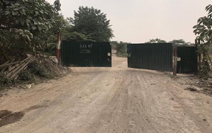 Hành tung bí ẩn của hàng vạn m2 gạch vỉa hè bị đá xanh thế chỗ