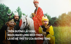 Cái kết thê thảm của chú ngựa Bạch Long Mã phim Tây Du Ký bản 1986 (P2)