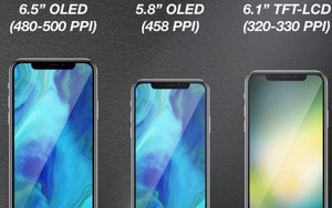 iPhone 2018: 3 phiên bản khác nhau và lựa chọn dung lượng lên tới 512GB