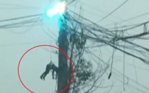 Clip: Khoảnh khắc thợ điện treo lơ lửng trên cột điện đang bùng cháy