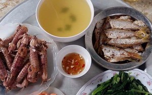 Khoe mâm cơm rẻ, khoe mẹ hồi thanh xuân chỉ là 2 trong 5 trào lưu siêu hot năm 2017, cùng điểm lại xem bạn tham gia được mấy?