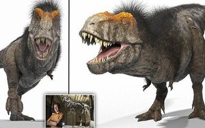 Quên huyền thoại Jurassic Park đi! Khủng long bạo chúa T-rex có ngoại hình "trẻ trâu" như thế này cơ
