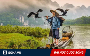 Nếu là người thông minh thực sự, họ sẽ không bao giờ phạm phải việc này!