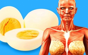 Điều gì xảy ra với cơ thể bạn nếu ăn 2 quả trứng mỗi ngày?